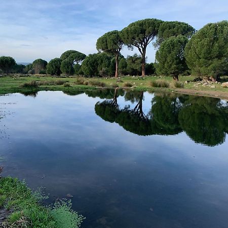 El Refugio De Felix Villa Sotillo de la Adrada Exteriör bild