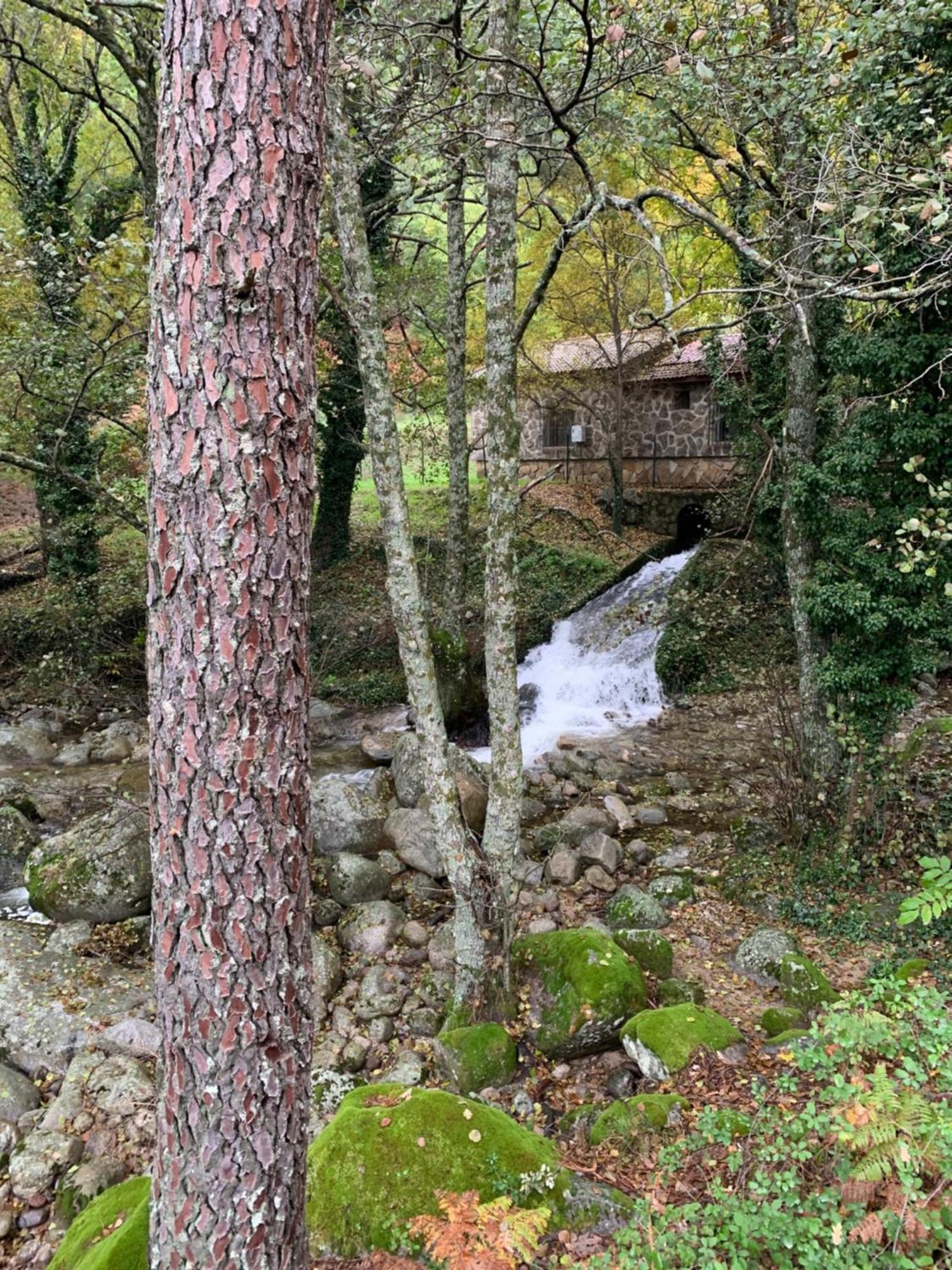 El Refugio De Felix Villa Sotillo de la Adrada Exteriör bild