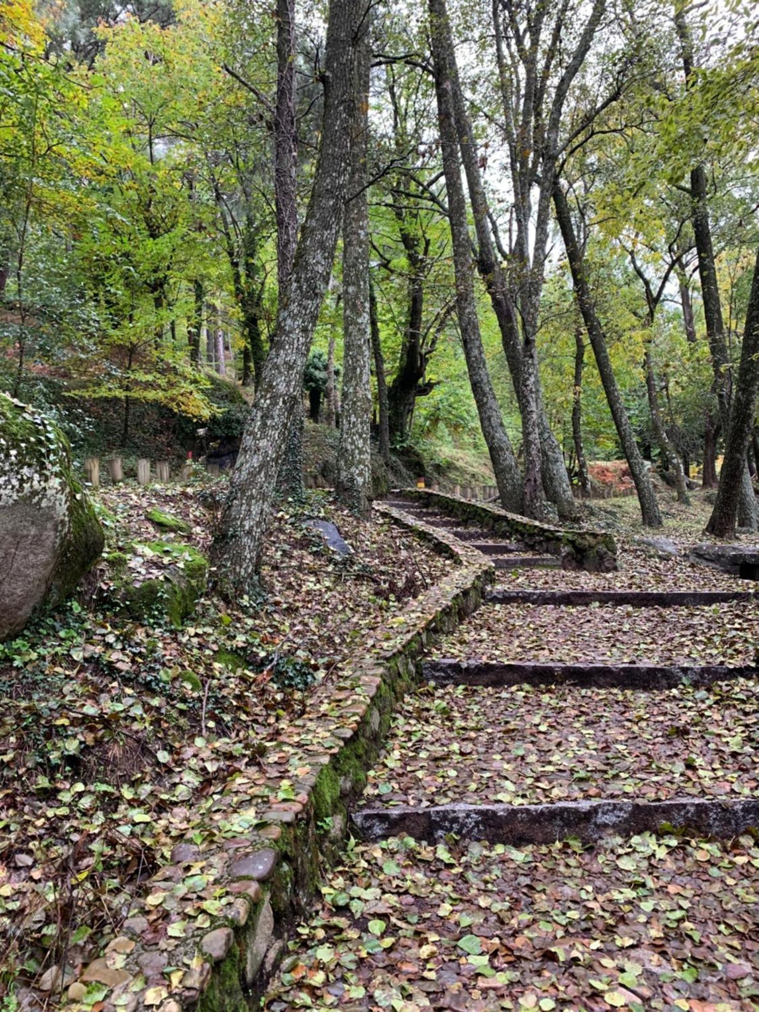 El Refugio De Felix Villa Sotillo de la Adrada Exteriör bild