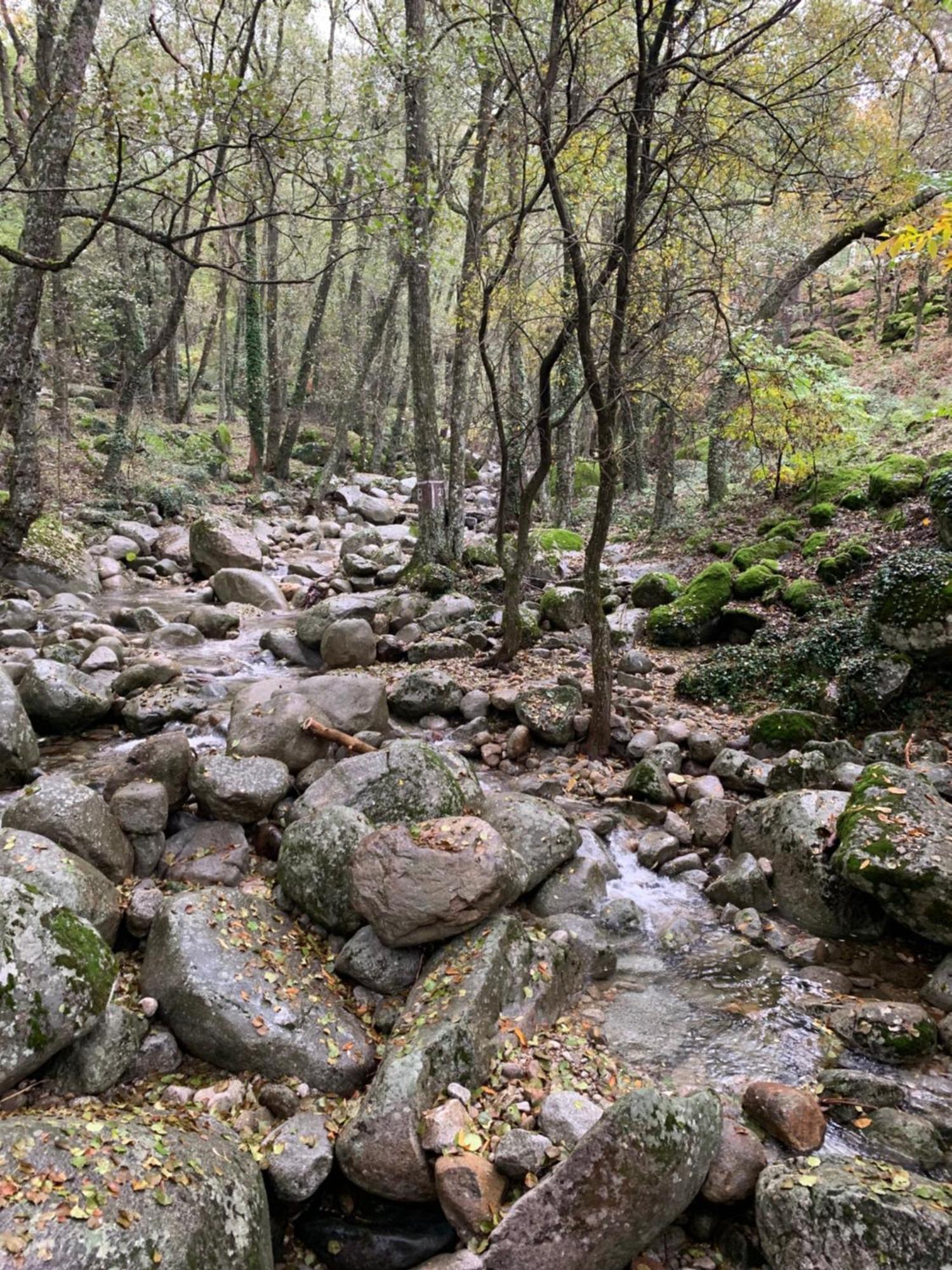 El Refugio De Felix Villa Sotillo de la Adrada Exteriör bild
