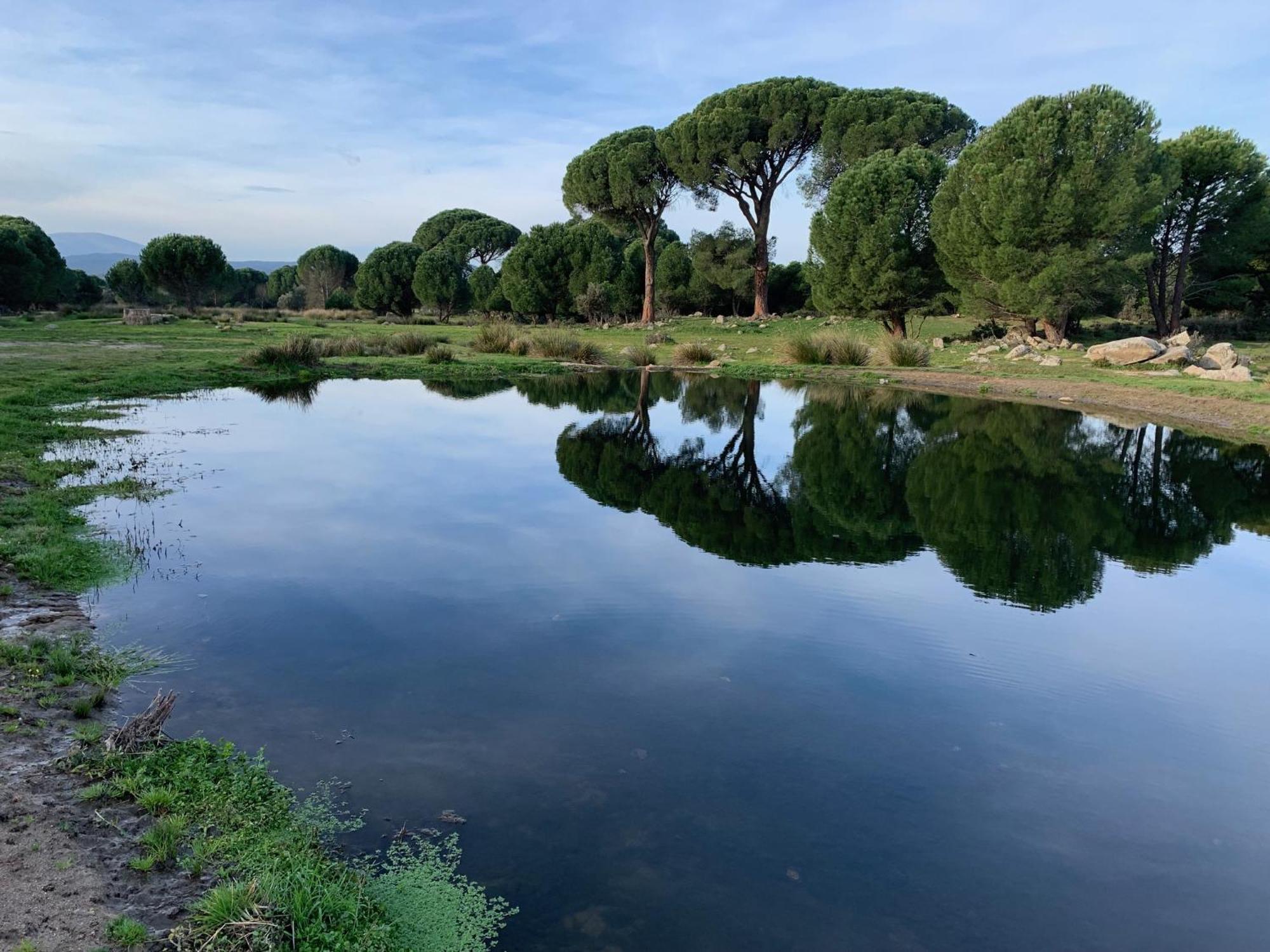 El Refugio De Felix Villa Sotillo de la Adrada Exteriör bild