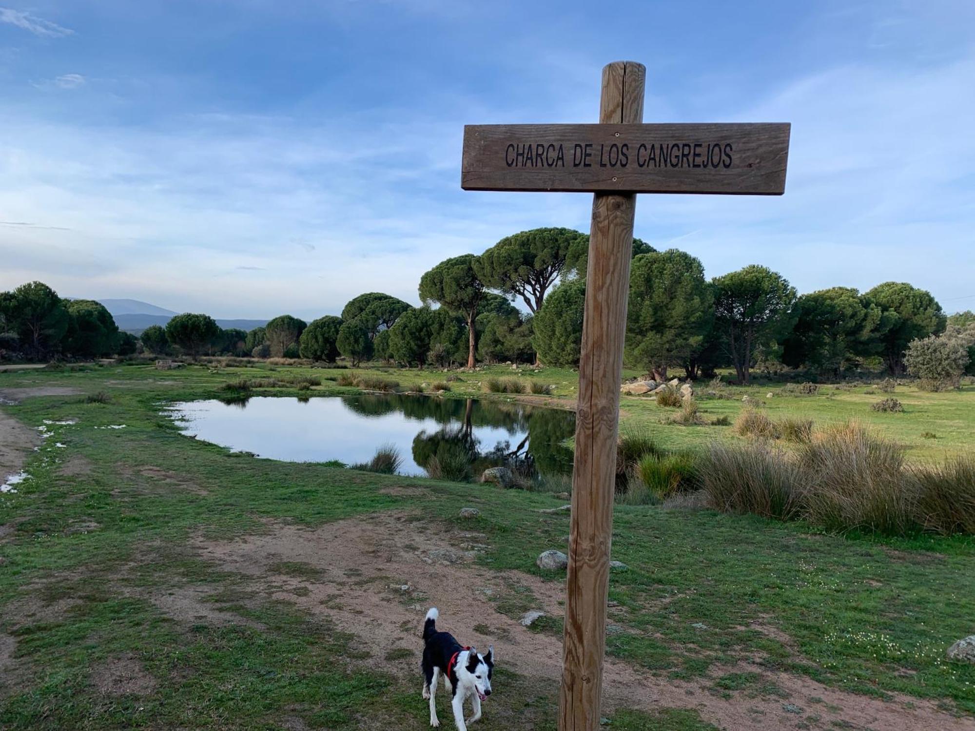 El Refugio De Felix Villa Sotillo de la Adrada Exteriör bild